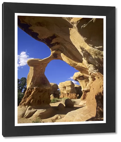 Metate Arch, Devils Garden, Grand Staircase-Escalante National Monument, Ut
