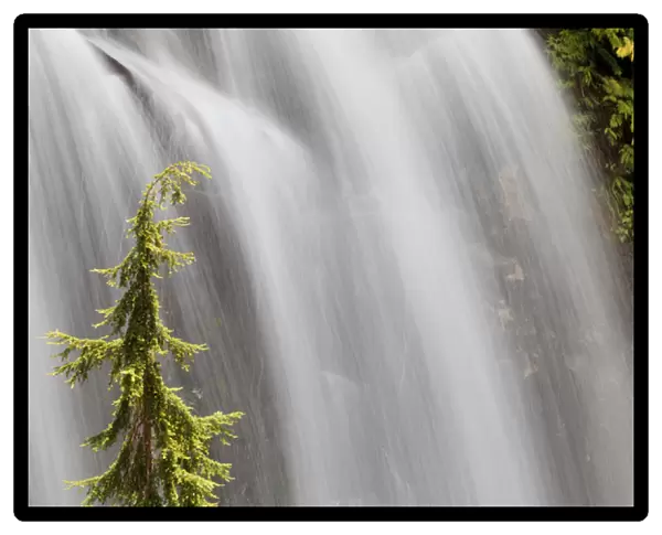 USA, Washington, Stehekin. Waterfall at the end of the Agnes Gorge Trail. Credit as