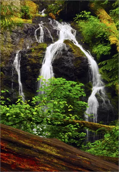 Cascade Falls, Moran State Park, Orcas Island, Washington, USA