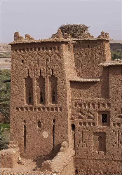 Africa, Morocco. Walls, doors and windows, and a white stork nest (ciconia ciconia)