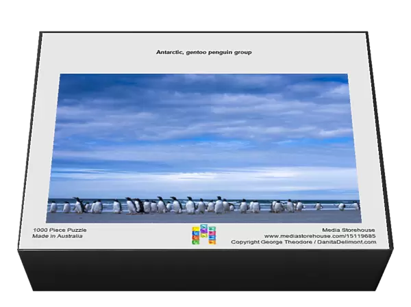 Antarctic, gentoo penguin group