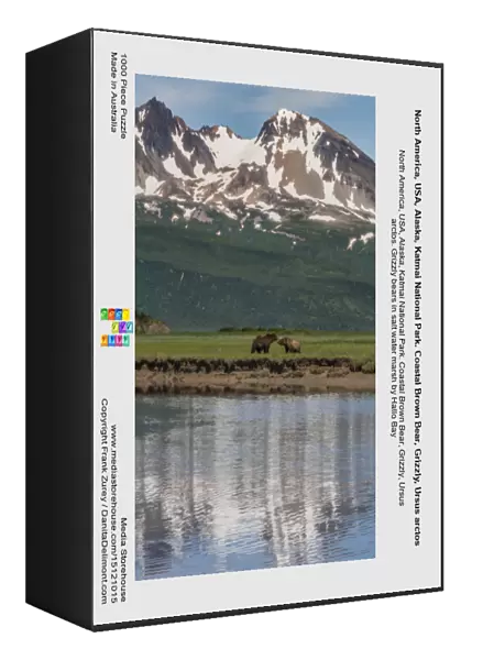 North America, USA, Alaska, Katmai National Park. Coastal Brown Bear, Grizzly, Ursus arctos