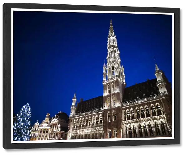 Belgium, Brussels, Grand Place, Hotel de ville, evening illumination with Christmas tree