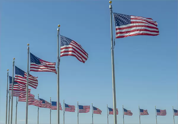 flags by Washington Monument, Washington, DC, USA