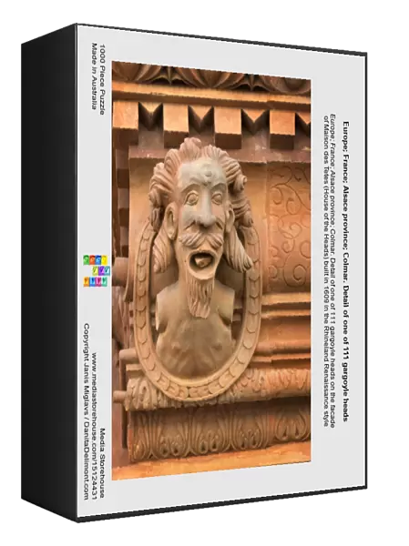 Europe; France; Alsace province; Colmar. Detail of one of 111 gargoyle heads on the