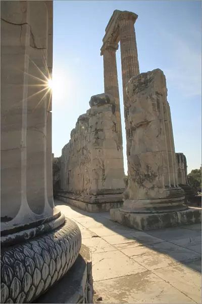 Turkey, west coast, Didyma, a sacred site of the ancient world. Its Temple of Apollo