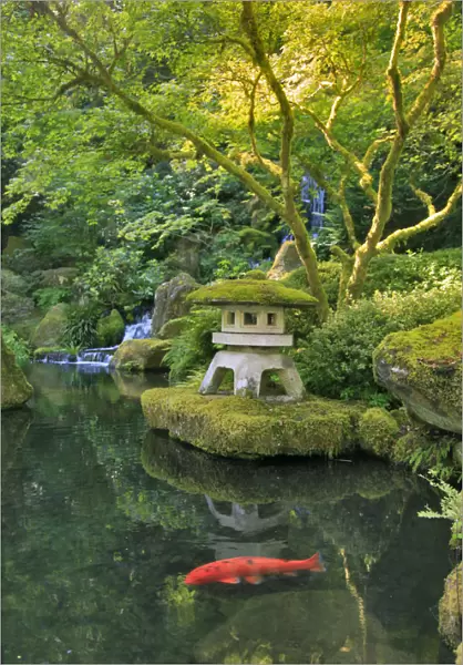 USA, Oregon, Portland. Japanese Garden scenic
