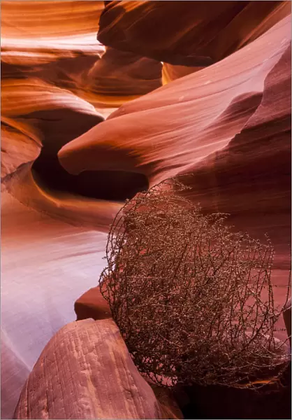 USA, Upper Antelope Canyon, Arizona