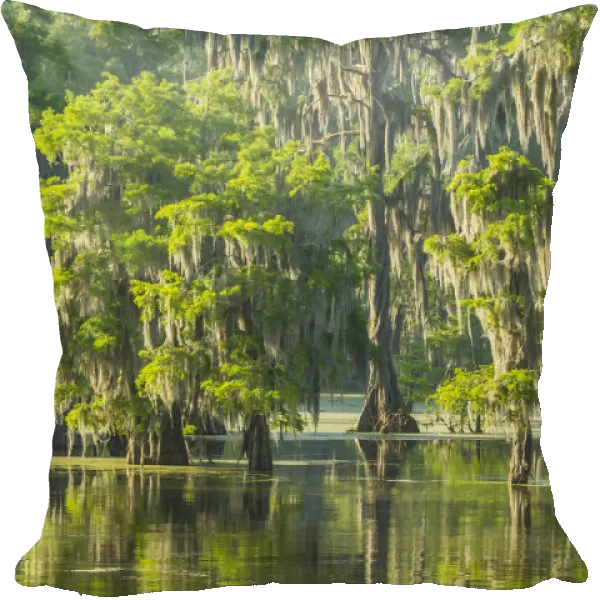 USA, Louisiana, Atchafalaya National Wildlife Refuge. Sunrise on swamp and egret