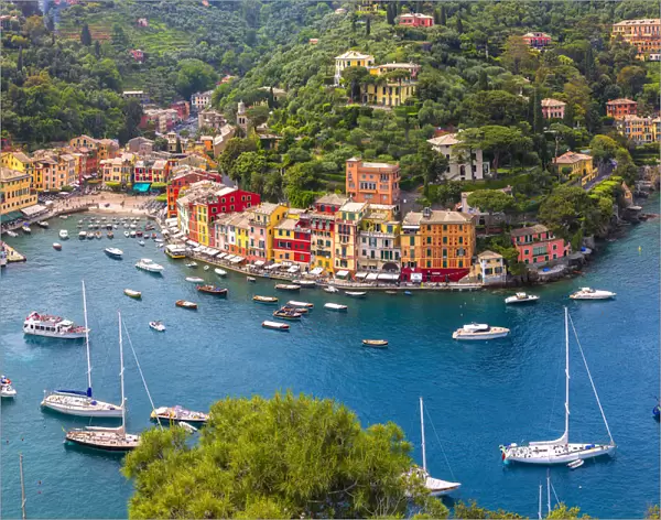 Europe, Italy, Liguria, Portofino. Aerial view of town and harbor