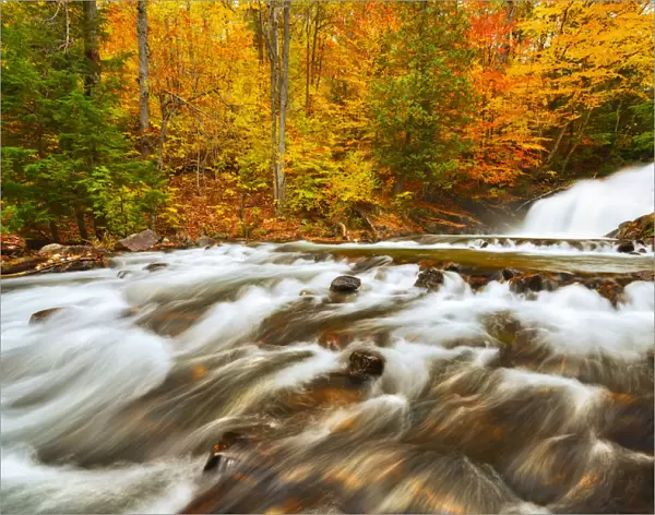 Canada, Ontario, Rosseau. Skeleton River at Hatchery Falls in autumn