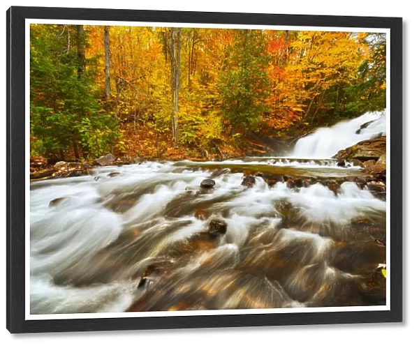 Canada, Ontario, Rosseau. Skeleton River at Hatchery Falls in autumn