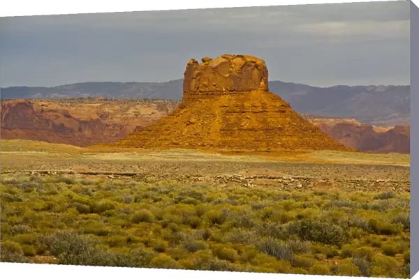 Butte, Navajo Nation Scenic Byway, Arizona, USA