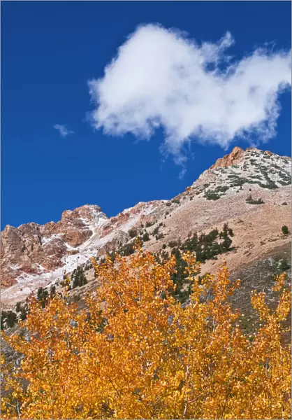 Fall color and early snow above North Lake, Inyo National Forest, Sierra Nevada Mountains