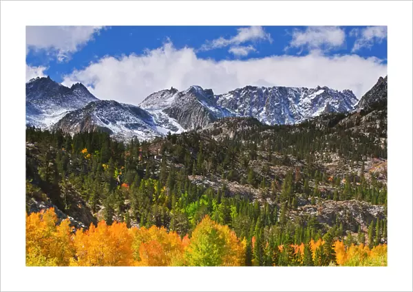 Fall color and early snow at North Lake, Inyo National Forest, Sierra Nevada Mountains