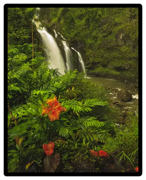 Waikani Falls, Hana Highway near Hana, East Maui, Hawaii, USA