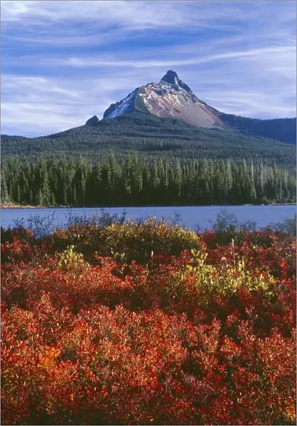 USA, Oregon. Willamette National Forest, Mount Washington rises beyond autumn-colored huckleberry
