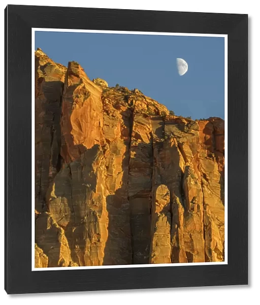Utah, Zion National Park, Moon over The Watchman