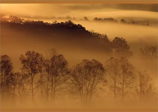 USA, Tennessee. Early morning fog in the Smoky Mountains