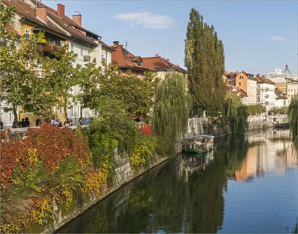 Slovenia, Ljubljana. Vines and trees provide a lush urban corridor along the Ljubljanica River