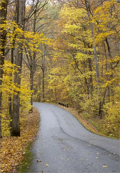 Road in fall Color Giant City State Park IL