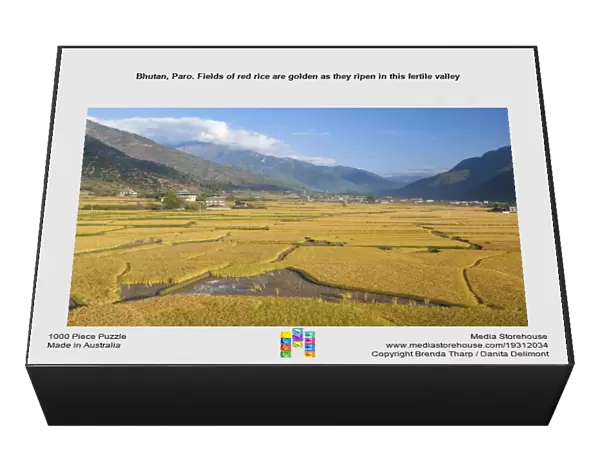 Bhutan, Paro. Fields of red rice are golden as they ripen in this fertile valley
