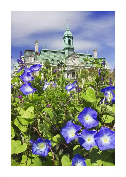 USA, Canada, Montreal. View of City Hall building behind flowers