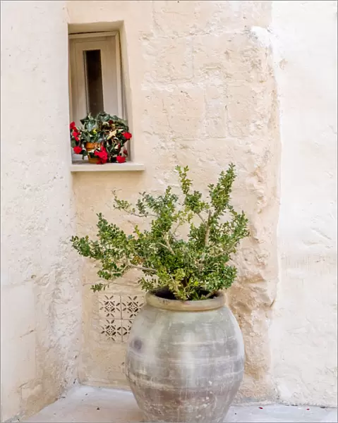 Potted plants outside the Sassi houses