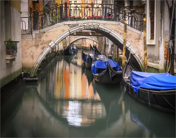 Europe, Italy, Venice. Canal with gondolas and bridges