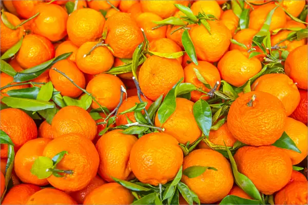 Oranges displayed in market in Shepherds Bush, London, U. K