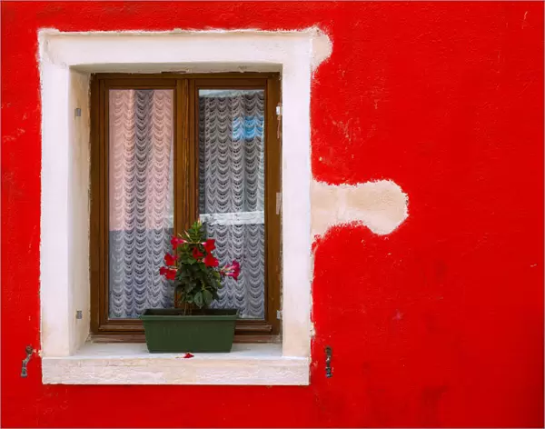 Italy, Burano. Colorful house wall and window