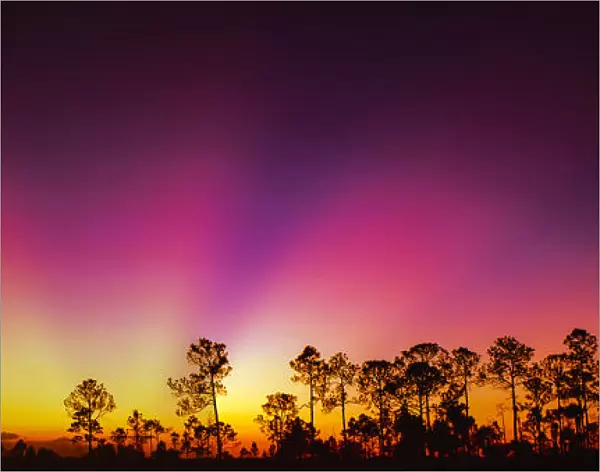 Dawn rays, along Hwy 41, Florida
