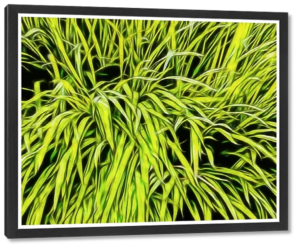 USA, Oregon, Cannon Beach. Abstract of grass in window Box