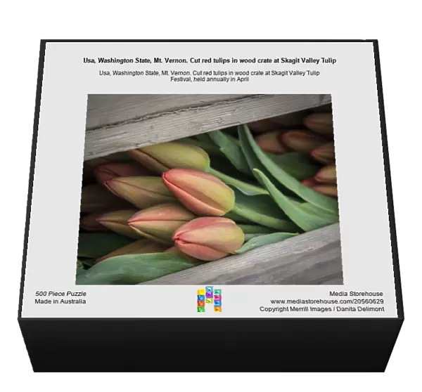 Usa, Washington State, Mt. Vernon. Cut red tulips in wood crate at Skagit Valley Tulip
