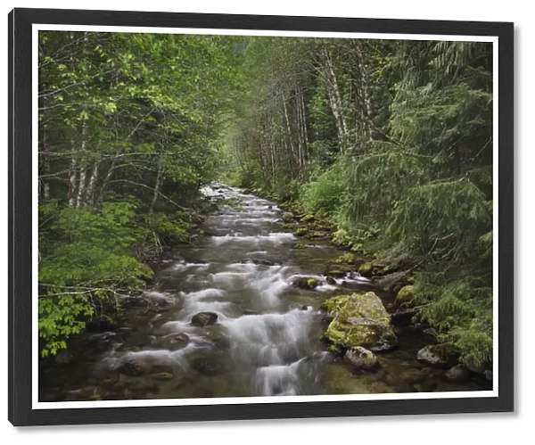 USA, Washington State. Beckler River, Mount Baker Snoqualmie National Forest