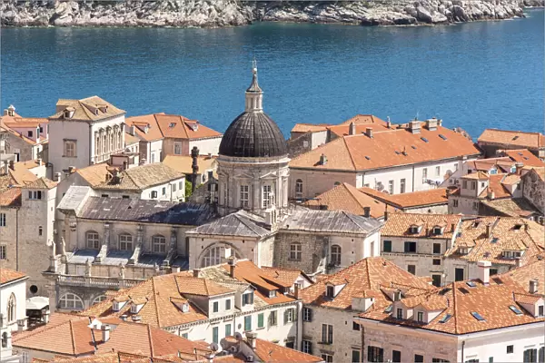 Croatia, Dubrovnik. Old City Cathedral, red tile roofs and Adriatic
