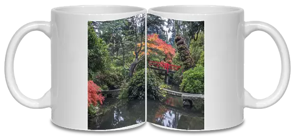 USA, Washington State, Seattle. Kubota Japanese Garden