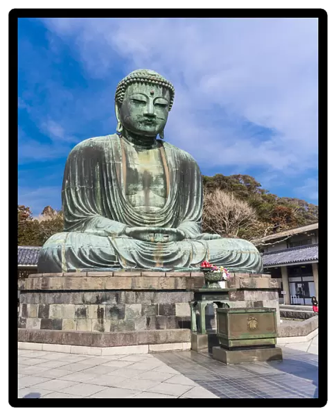 The Daibutsu, or big buddha, of the Buddhist Temple in Kamakura, Japan