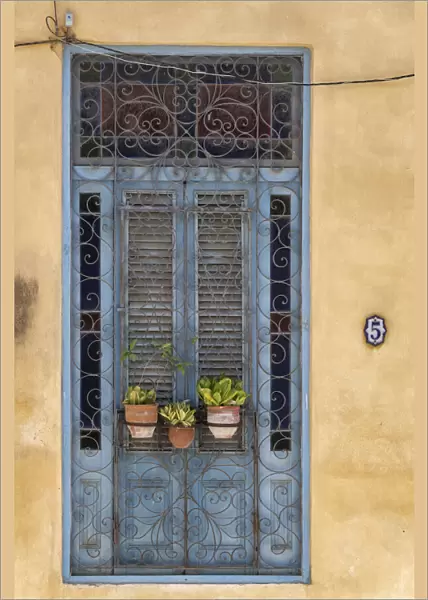 Three flower pots sit in wrought iron gate in front of blue door in Old Havana