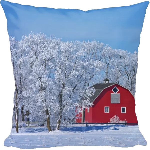 Canada, Manitoba, Deacons Corner. Red barn surrounded by trees covered with
