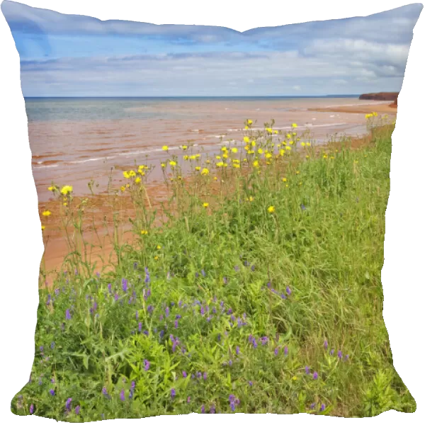Canada, Prince Edward Island, Skinners Pond. Red sandstone beach on Northumberland Strait
