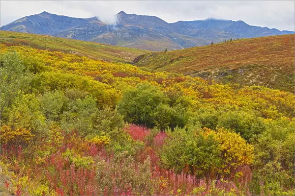 Canada, Yukon. Autumn-colored hills and fog. Credit as: Mike Grandmaison  /  Jaynes Gallery