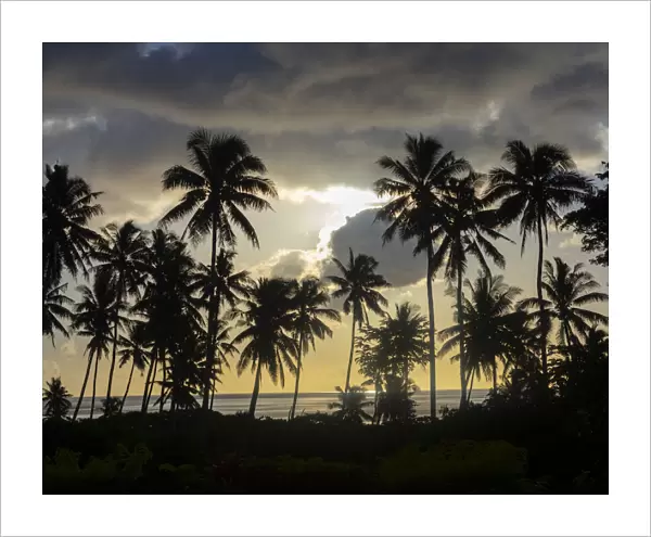 Fiji, Taveuni Island. Beach sunset with palm trees