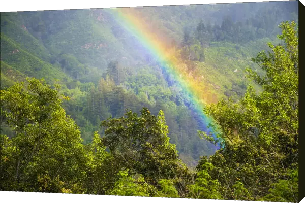 Rainbow in Andrew Molera State Park, California, USA