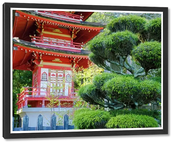 Pagoda, Japanese Tea Garden, Golden Gate Park, San Francisco, California, USA