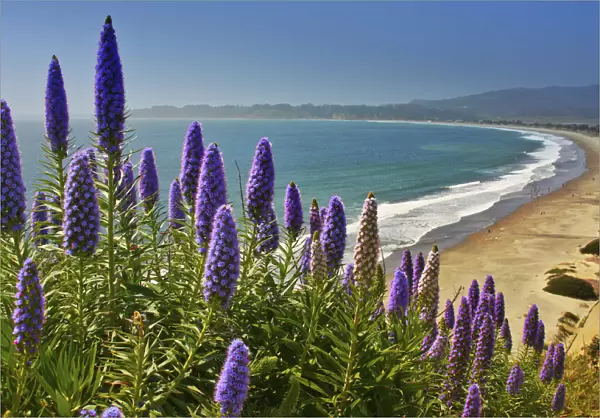 Beach, Coastal Marin Headlands, California, USA