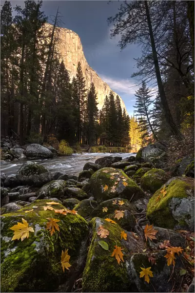 Autumn along Merced River in Yosemite National Park, California