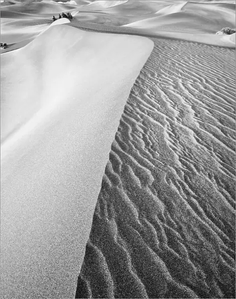 Dune Abstract, Death Valley