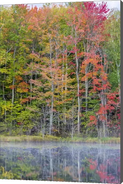 Thornton Lake in fall color, Alger County, Michigan