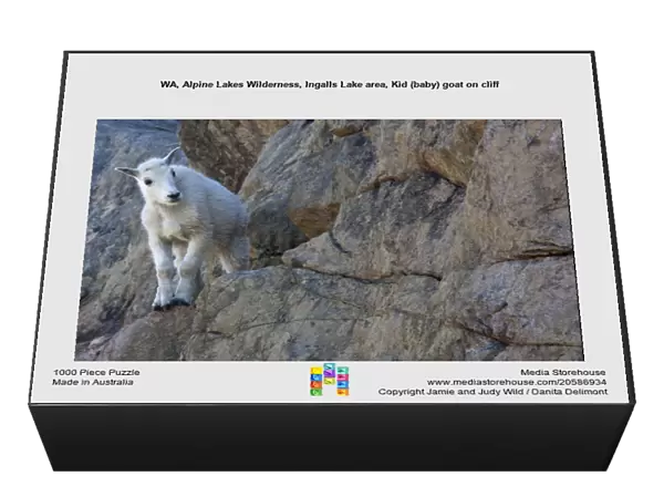 WA, Alpine Lakes Wilderness, Ingalls Lake area, Kid (baby) goat on cliff